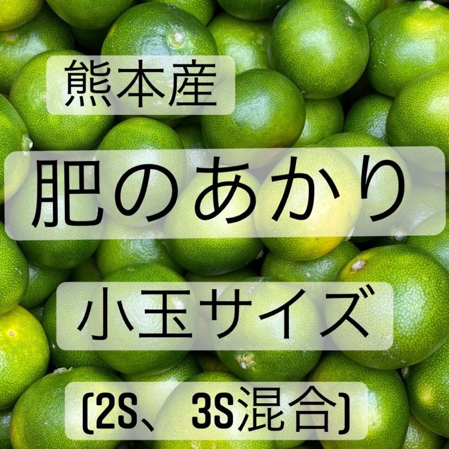 ⑩心を込めてつくった。おいしいみかん「肥のあかり」10kg（箱込