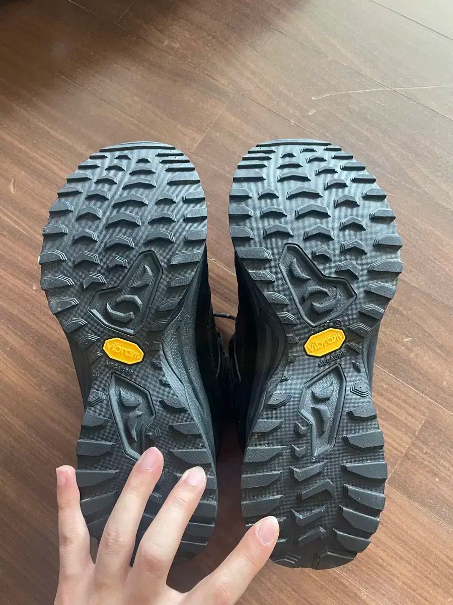 Kolon