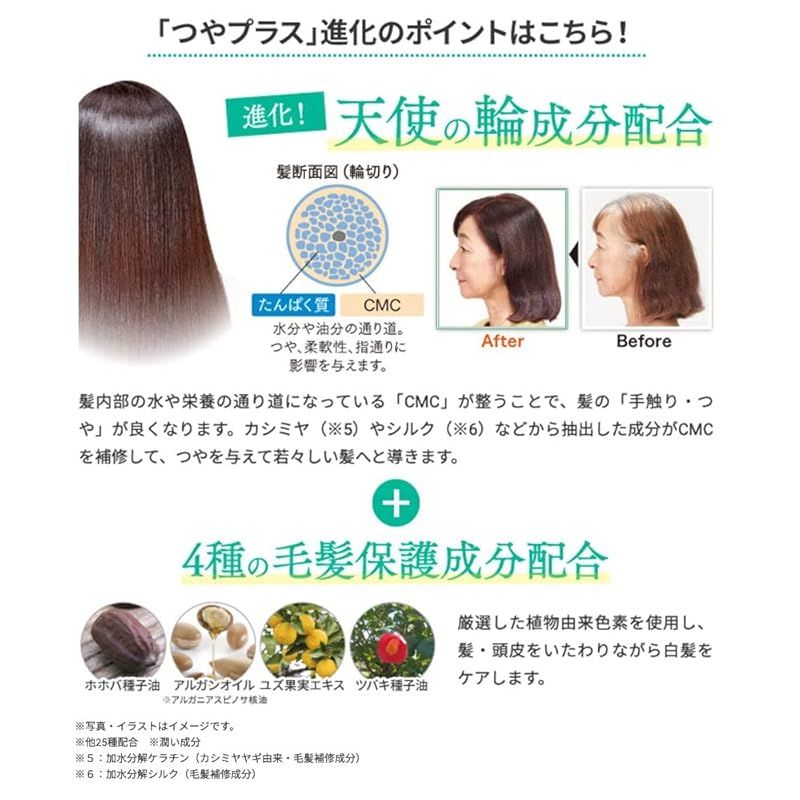 Sastty (サスティ) 利尻ヘアカラートリートメント つやプラス (ナチュラルブラウン) + カラーケア専用 馬毛ブラシ&コーム - メルカリ