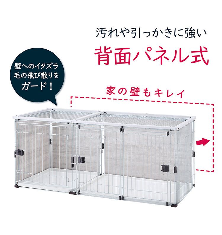 小型犬