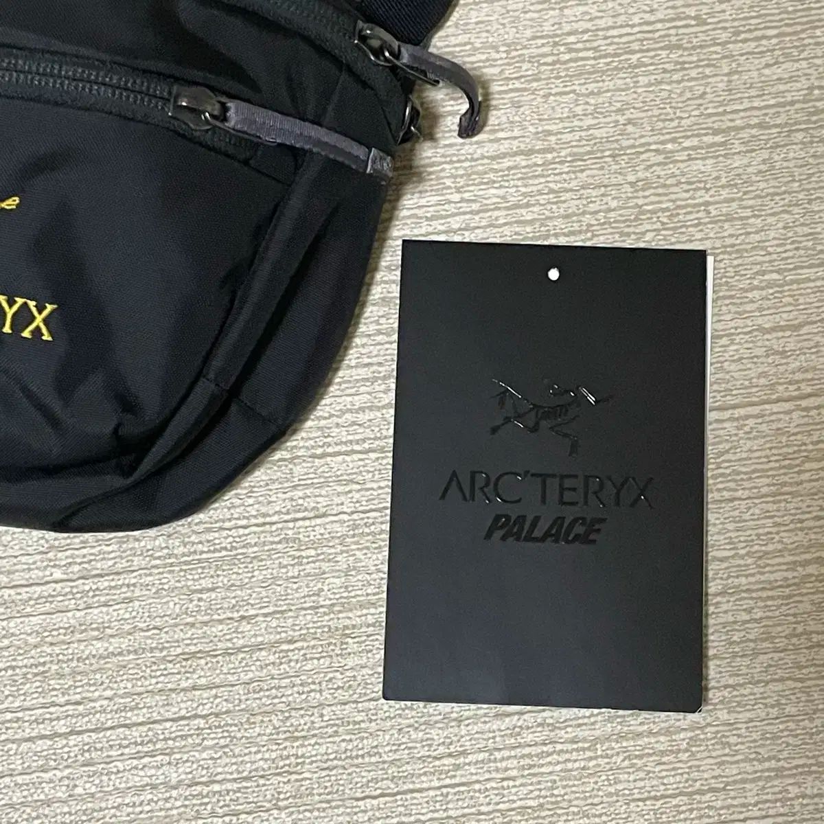 20fw PALACE(パレス) x ARC'TERYX(アークテリクス) マンティス 1