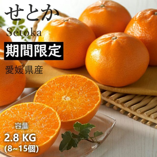 食用ほおずき 苗 ・太陽の子・自然栽培・八ヶ岳山麓・2ポット 食品