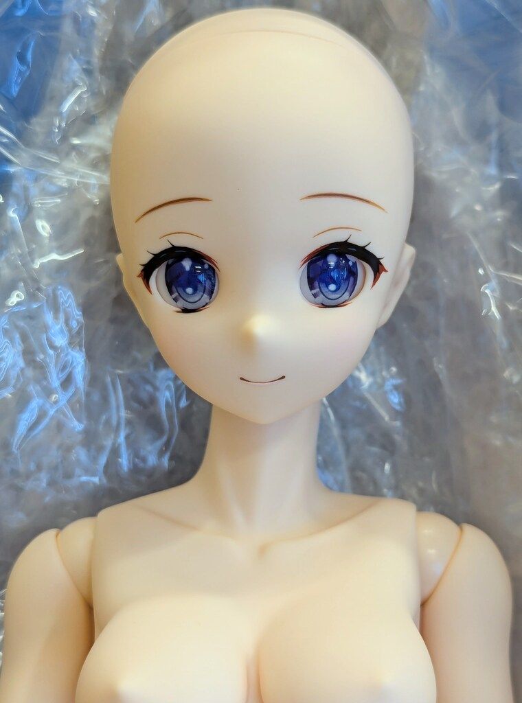 アゾン アナザーリアリスティックキャラクターズ ホロライブ ときのそら AZONE INTERNATIONAL::キャラクタードール::商品詳細