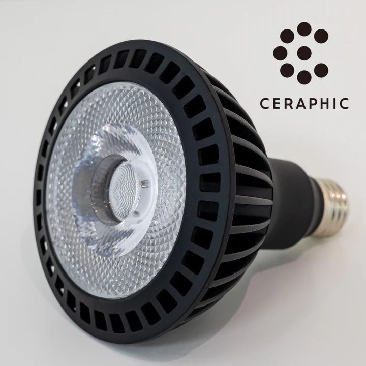 CERAPHIC いきもの電球