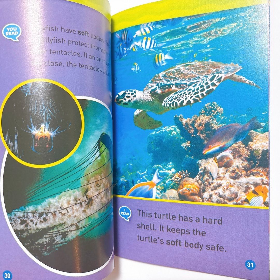 National Geographic Kids Level1 46冊 英語絵本 音源付き