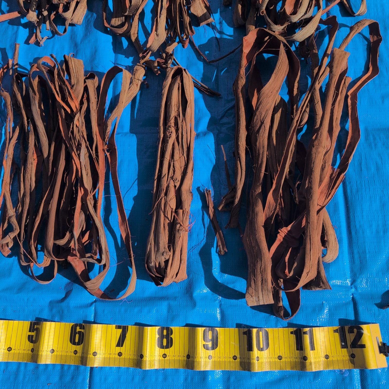 天然山葡萄の蔓1 採集状態で保存2.5キロ