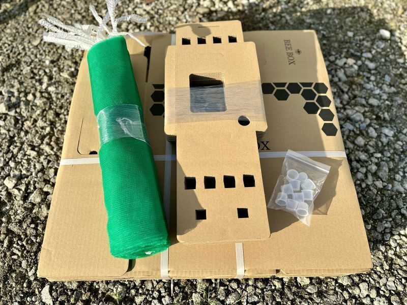 西洋ミツバチ ダンボール巣箱 10セット