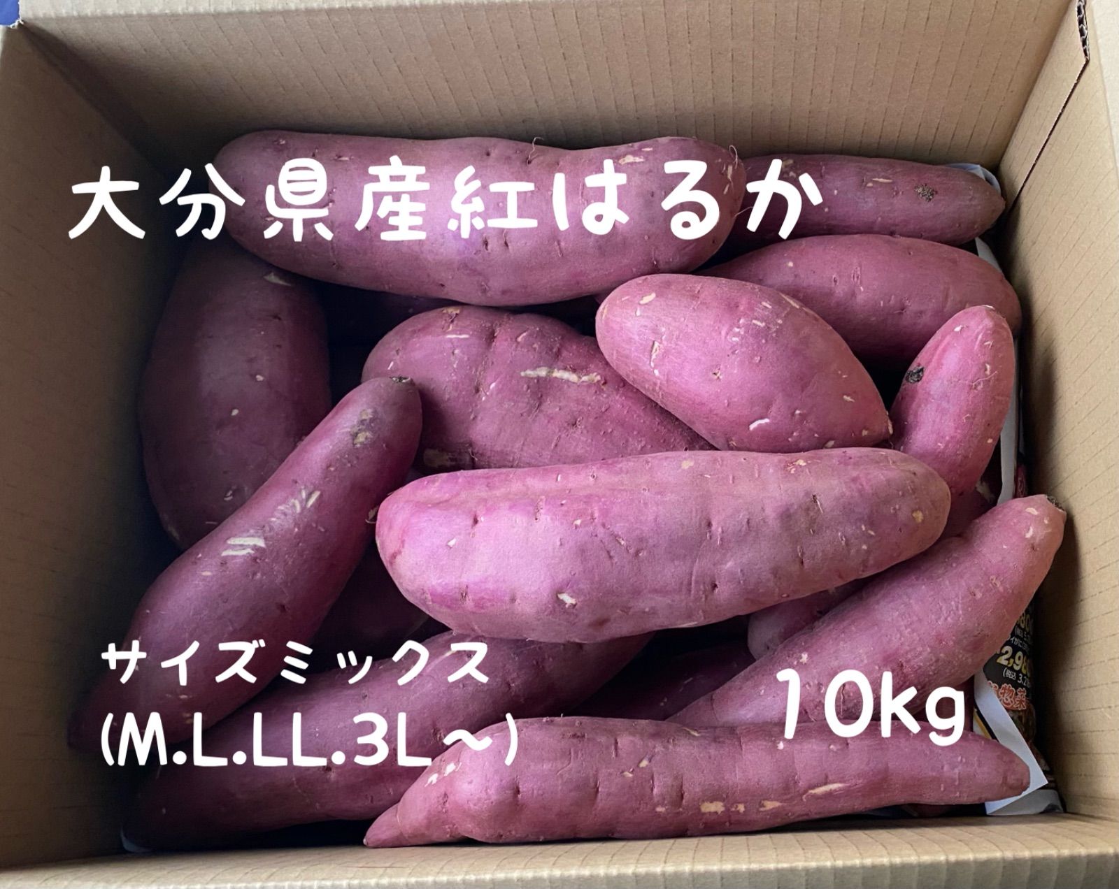 はるか ミックス 10kg - 果物