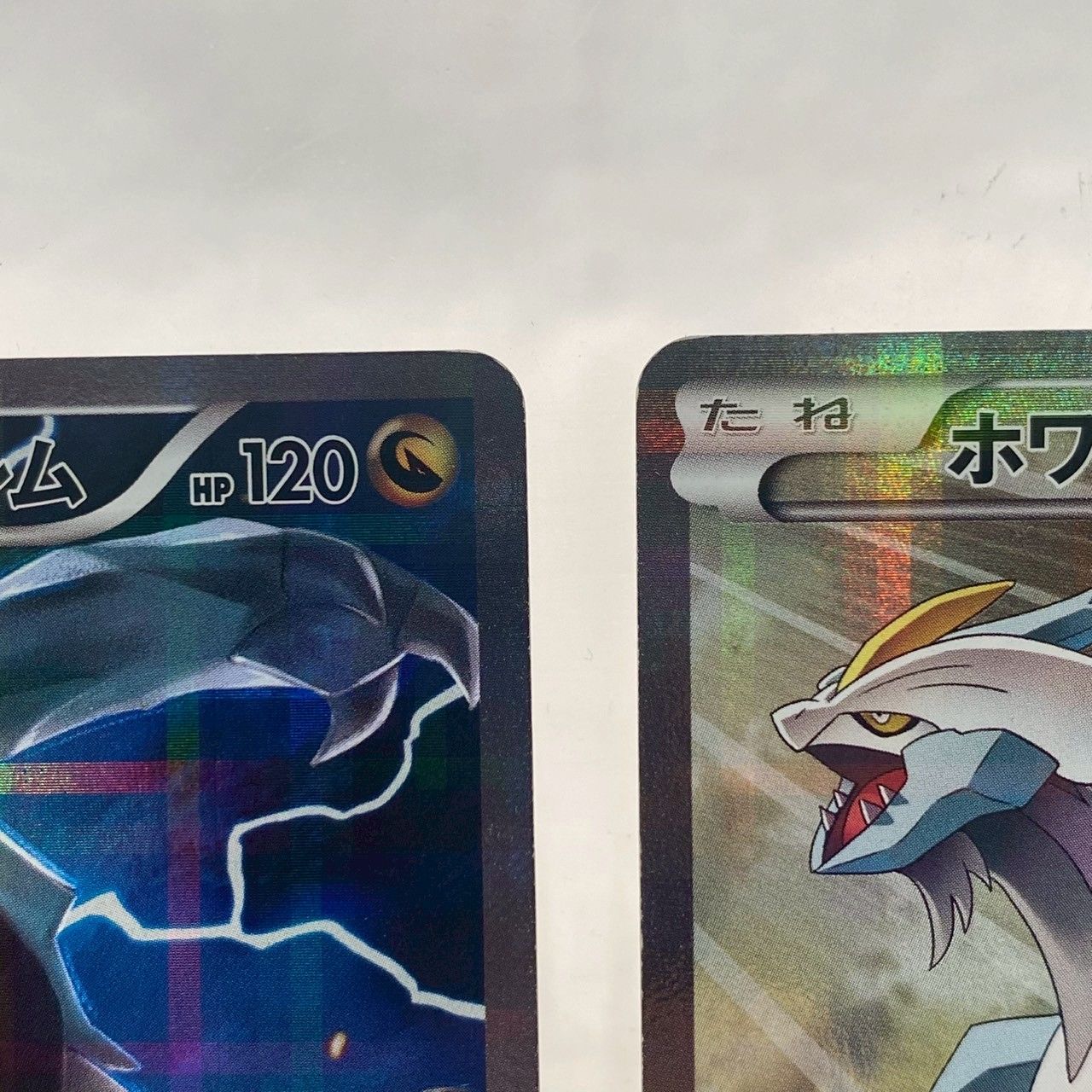 ポケモンカードゲーム　ブラックキュレム ホワイトキュレム スリーブ 反り有り）ブラックキュレム・ホワイトキュレム ポケモンカード