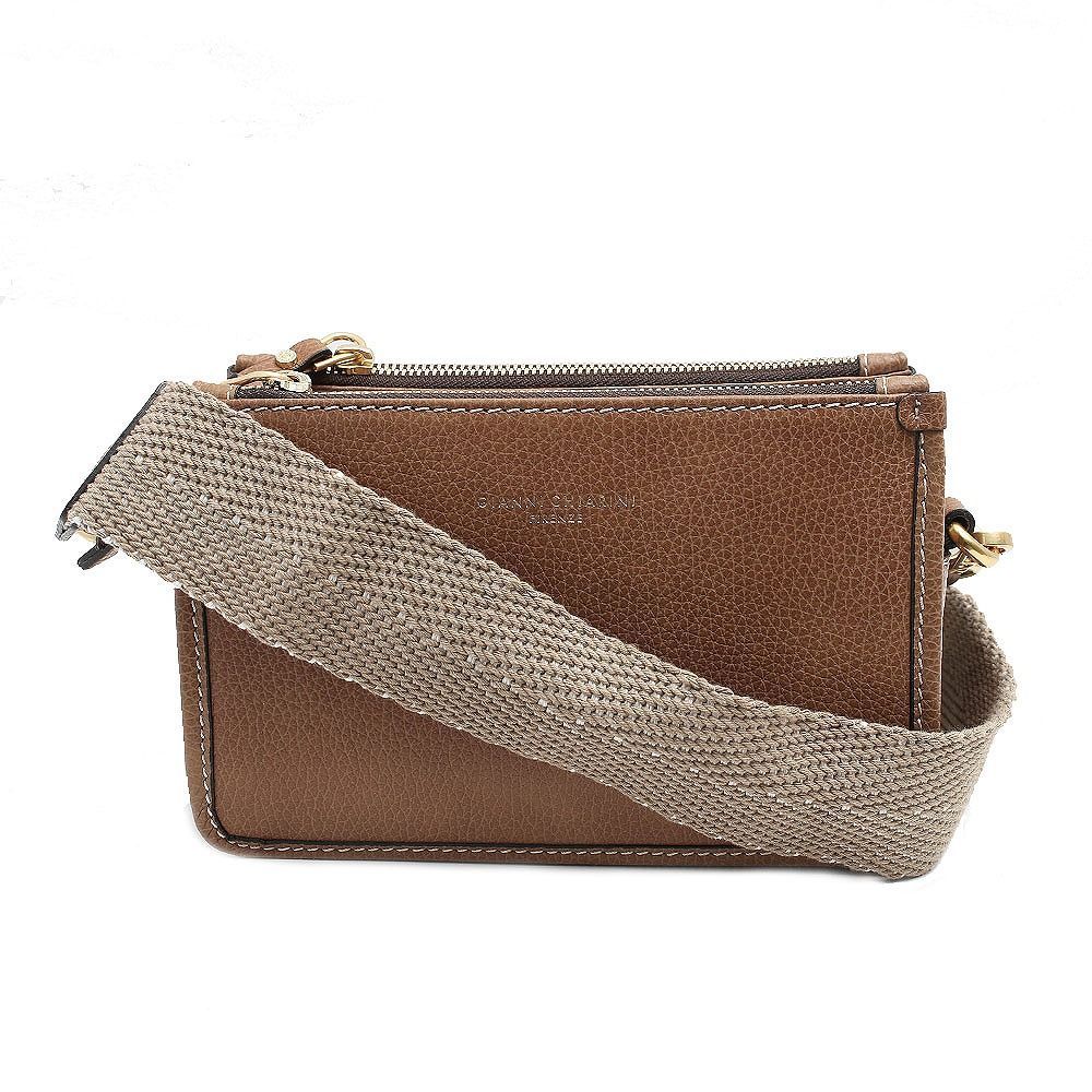 冬支度セール】マクロザミア・ステノメラ ブルー / 希少 レア ソテツ