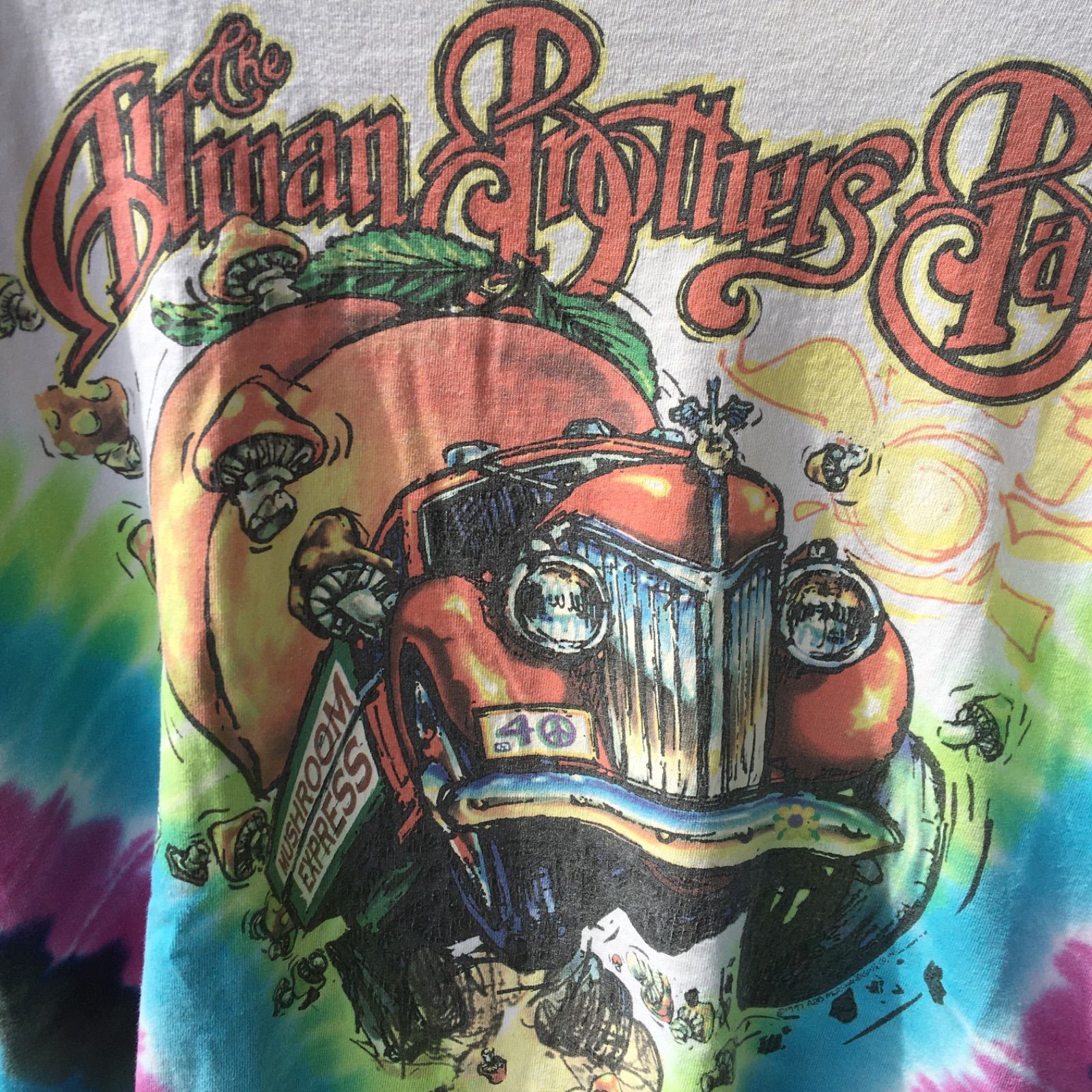 90s Liquid Blue ビンテージ オールド リキッドブルー Allman Brothers 