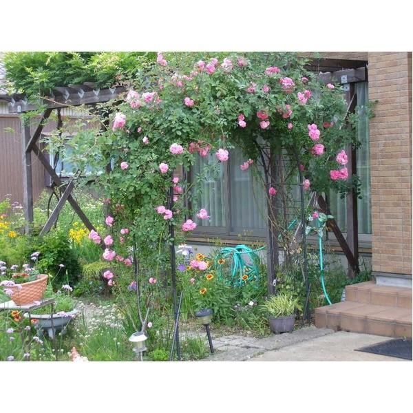 花 エクステリア〕