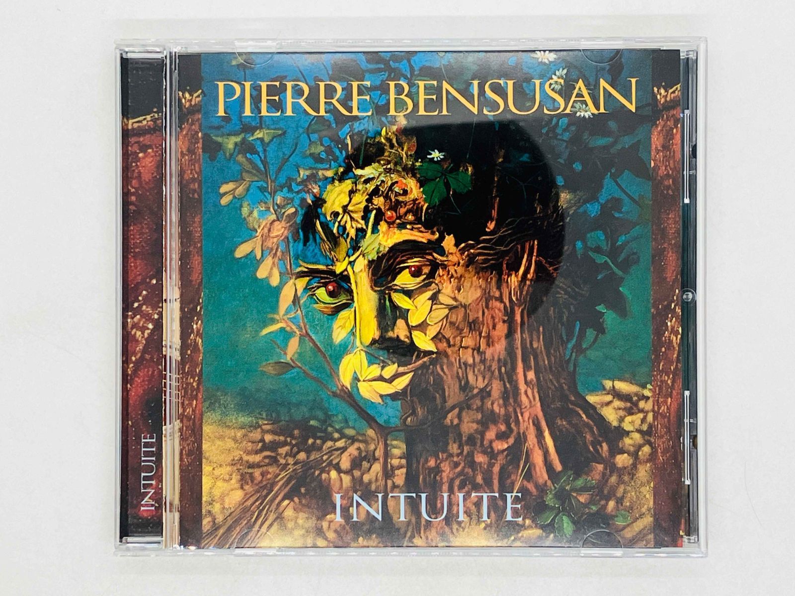 ミュージック The Guiter of Pierre Bensusan vol.2 The Guitar of Pierre Bensusan: Volume 2: Amazon.ca: Pierre