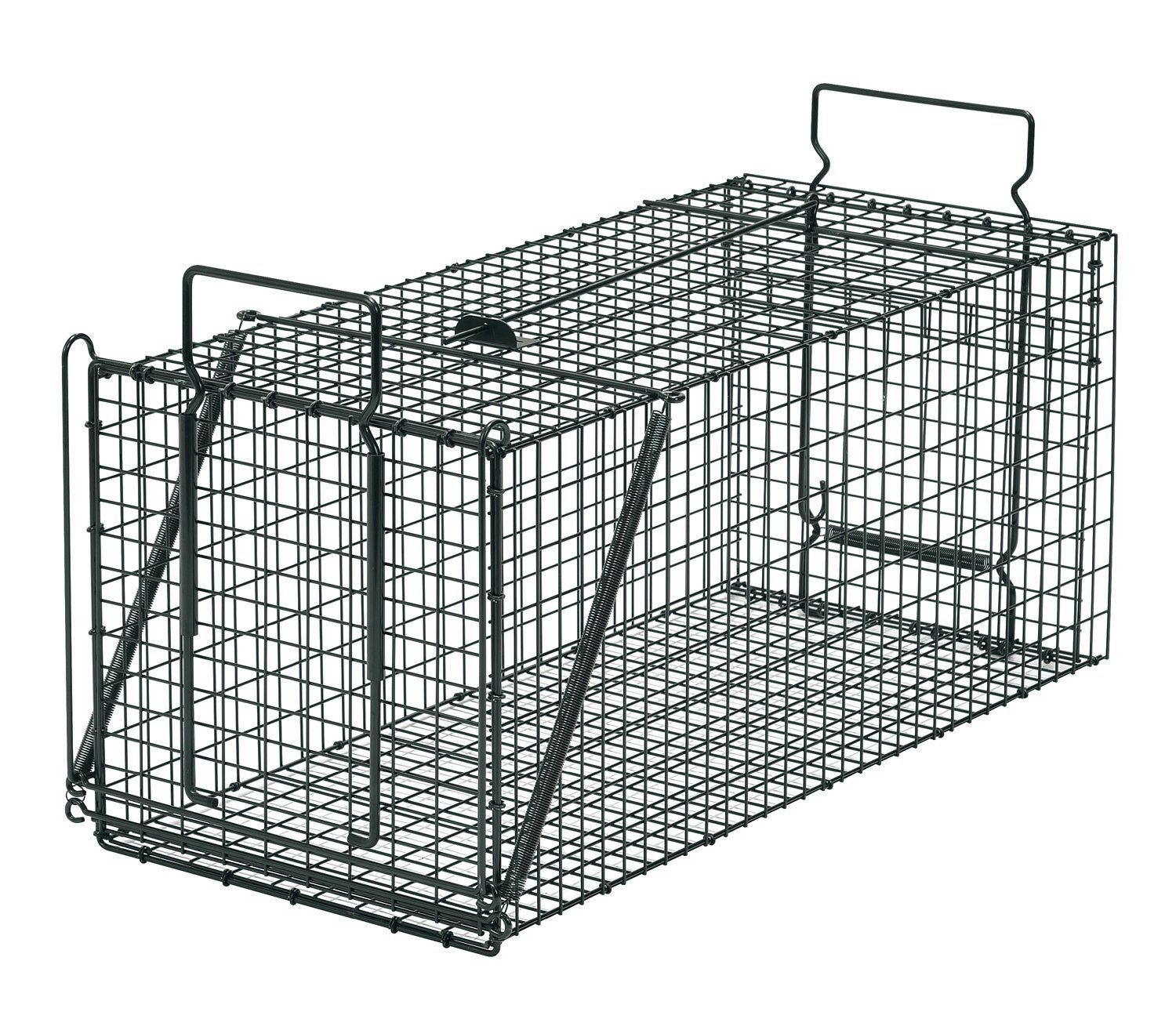 栄工業 栄ヒルズ 捕獲器ジャンボ ブラック D type No.203 IT-3