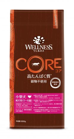 同梱不可 4個セット ウェルペット ジャパン ウェルネスコア 小型犬 成犬用 骨抜き七面鳥 800g