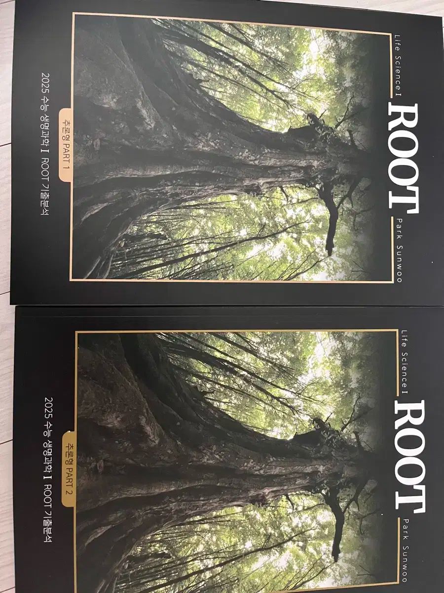 2025 パク・ソンウ ROOT 過去問分析