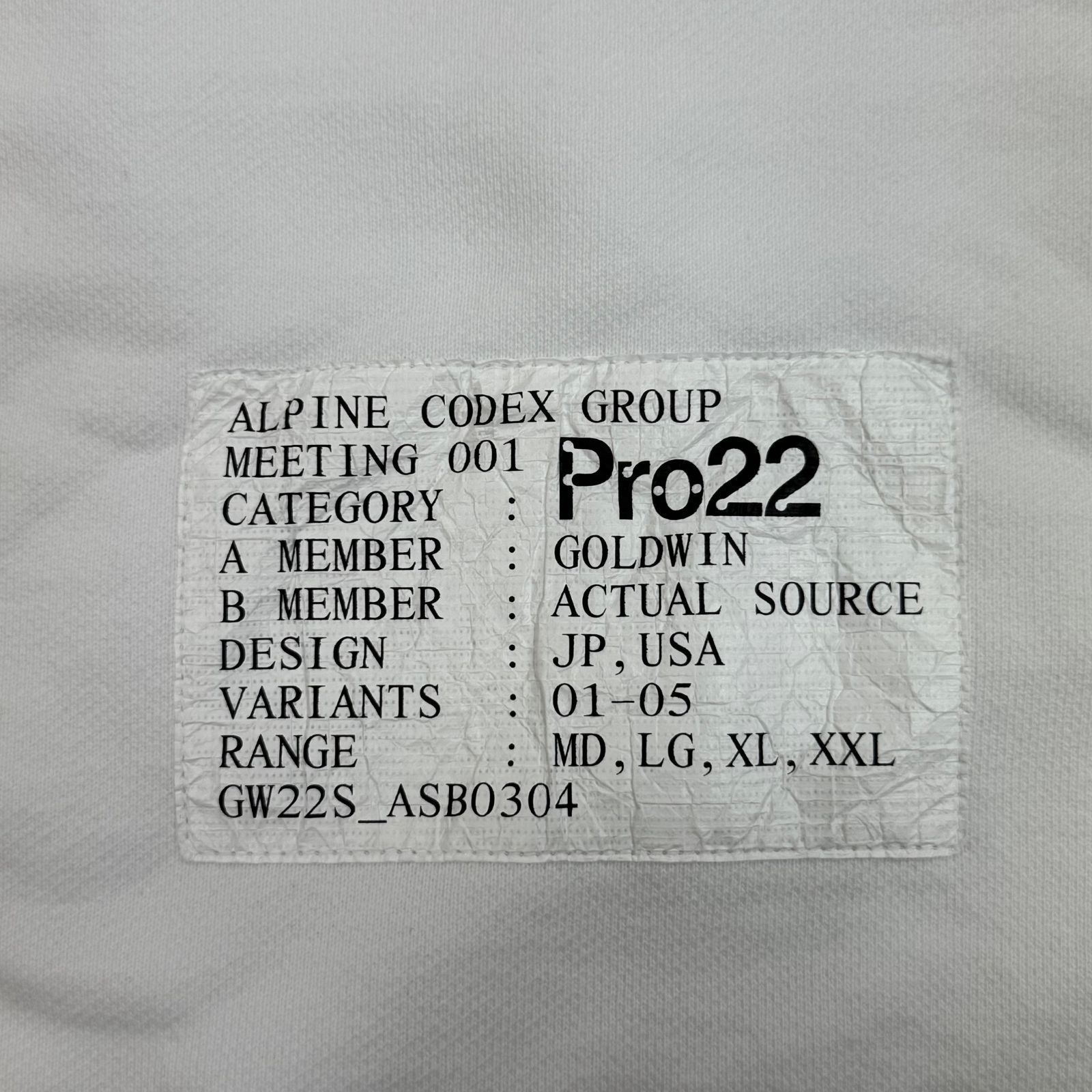 参考上代23100円 未使用品 Goldwin × Actual Source Alpine