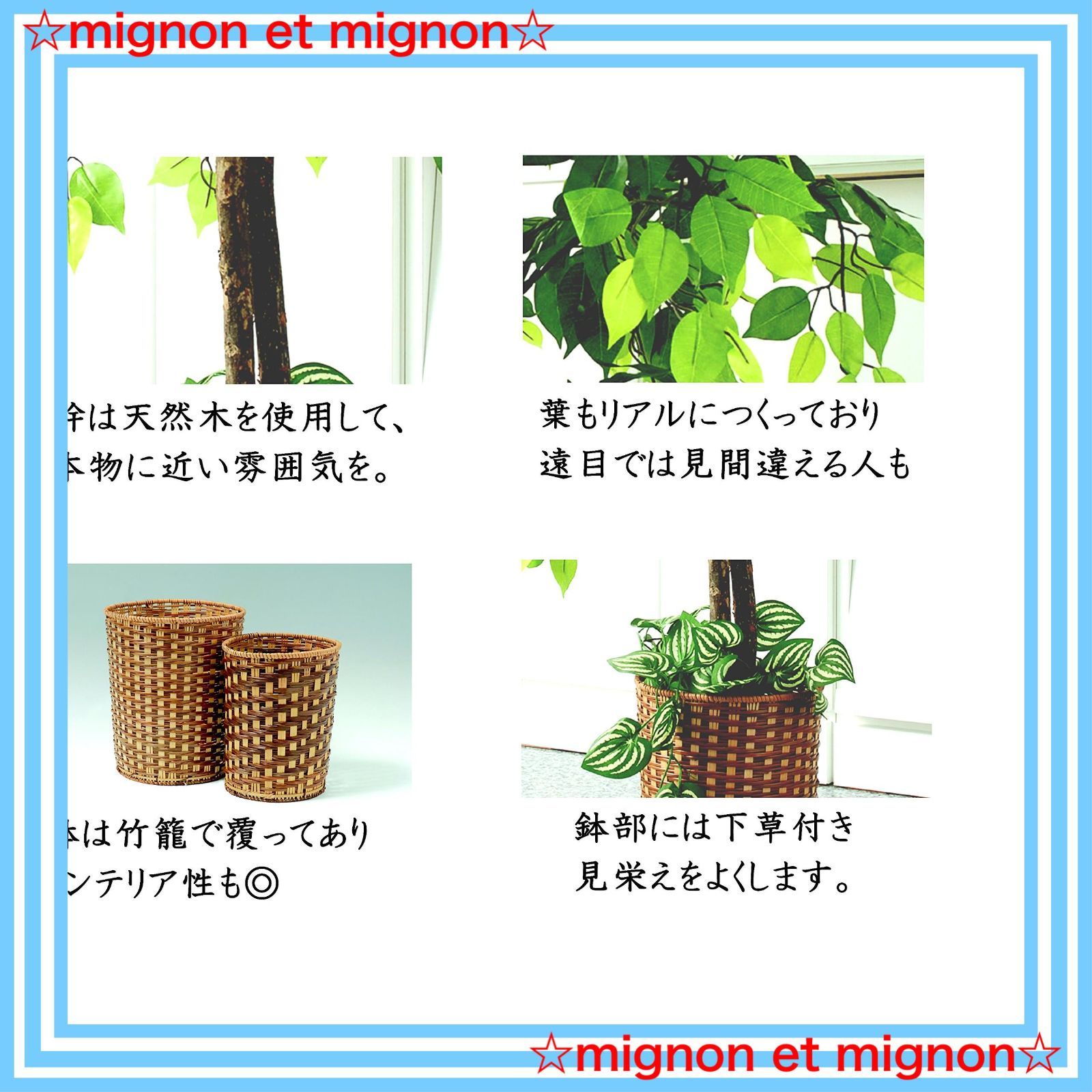 即日発送 鉢付き 竹カゴ付き 大型 フェイクグリーン 幅70×高さ160cm 人工観葉植物 ベンジャミン ビータ Vita