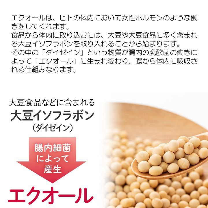 大豆イソフラボンエクオール20日分