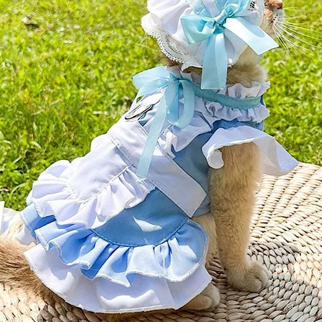 犬服　ハンドメイド　コスプレ　メイド服　オーダーページ　小型犬　大型犬 o920-1.jpg