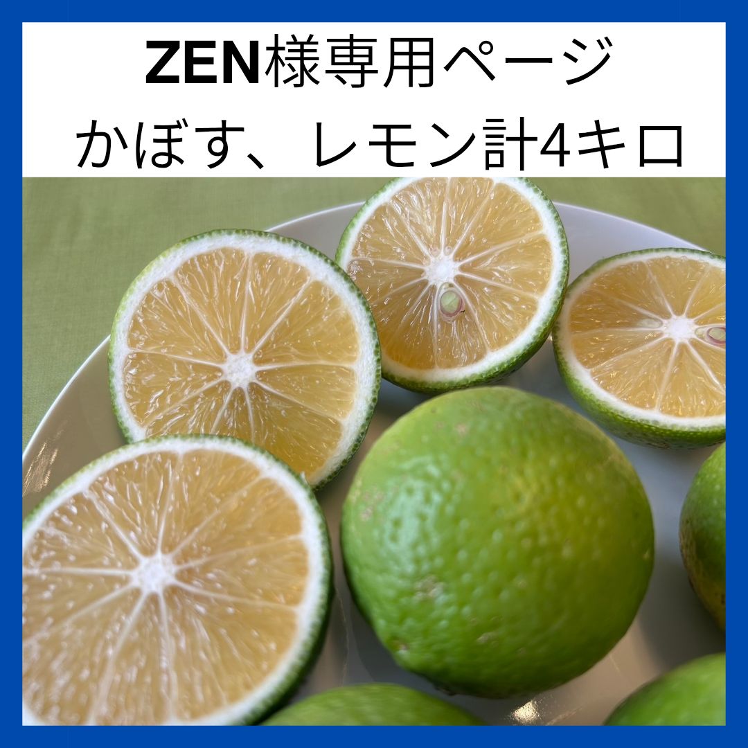 レモン様 専用 レモン様専用(レモン様専用。 (レモンレモン様 レモン様 専用 レモン様専用(レモン様専用。 (レモンレモン様