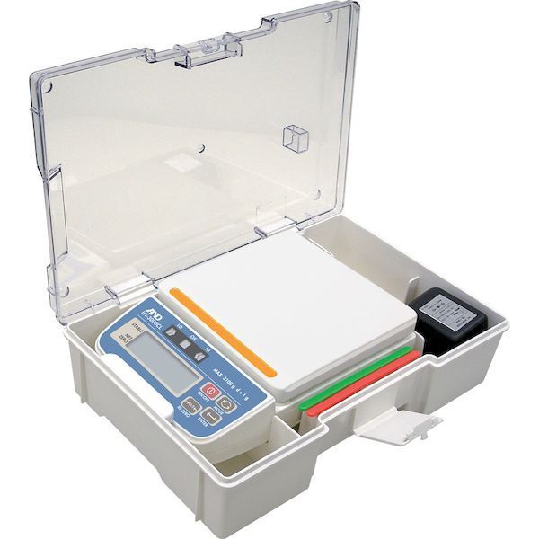 特大!! エンシフェールニジダイコクコガネ 49mm 49mm ダイコクコガネの