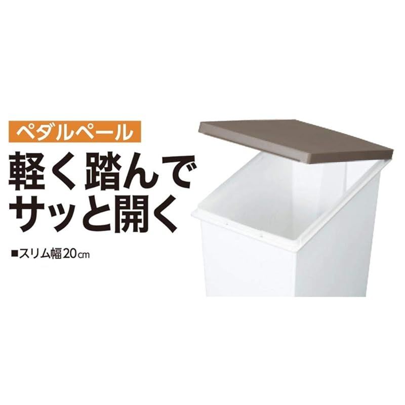 トンボ ネオカラー