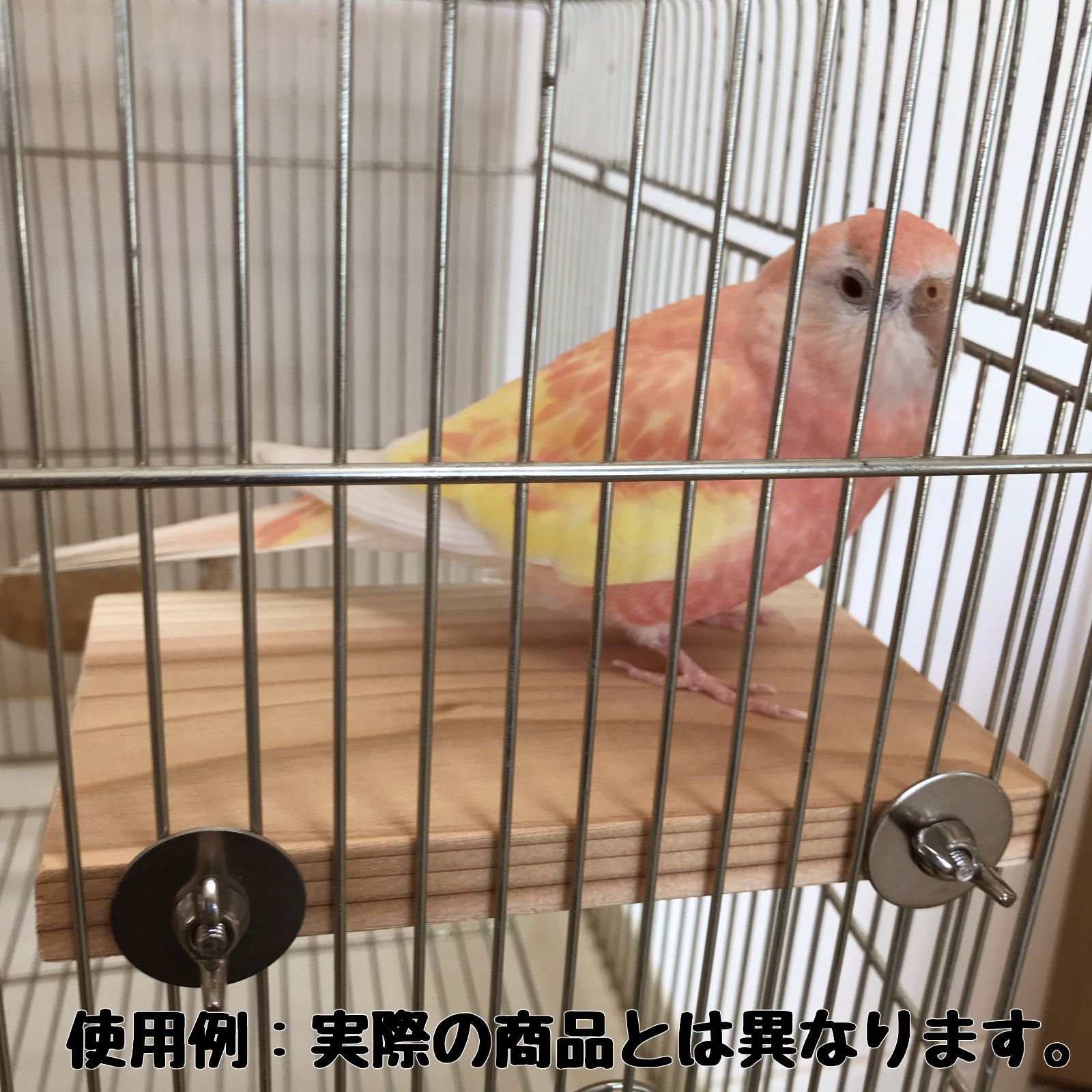 長方形止まり木(15×9センチ) インコ・小動物用ステップ - 鳥用品