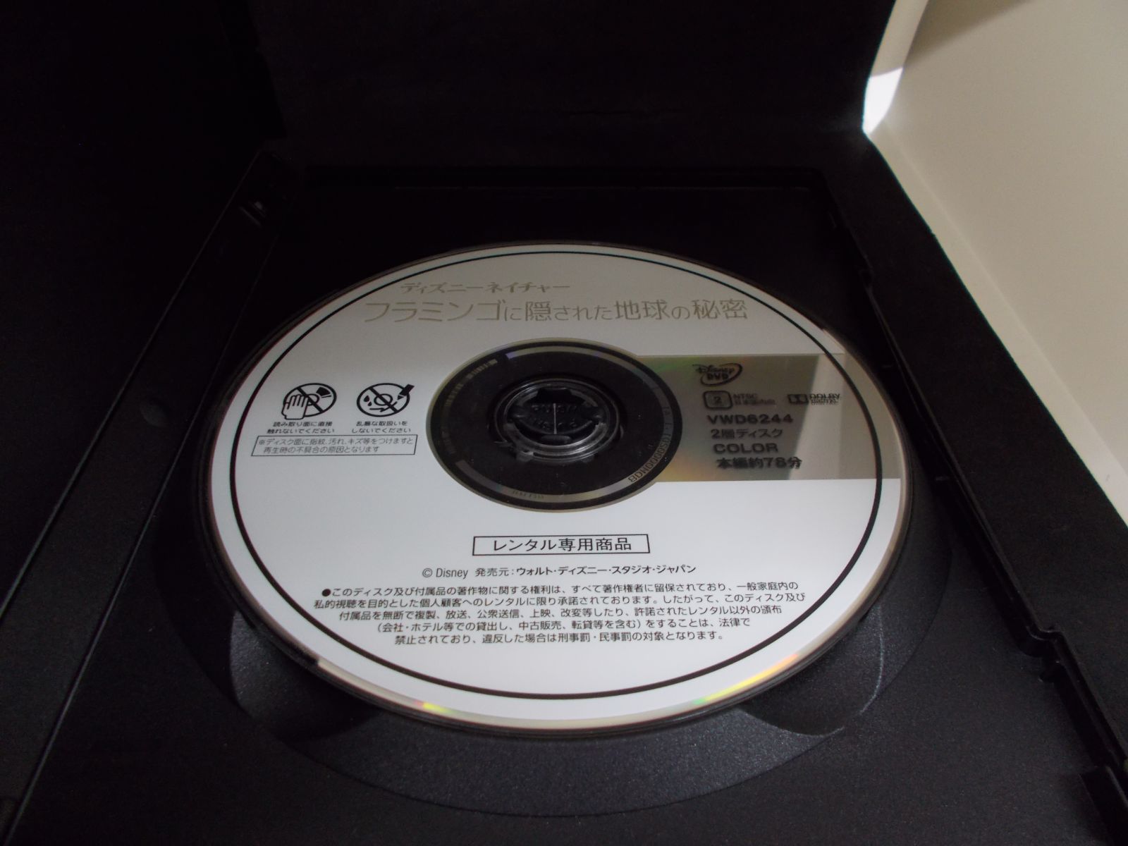 ディズニーネイチャー　フラミンゴに隠された地球の秘密　レンタル専用　中古　DVD　ケース付き