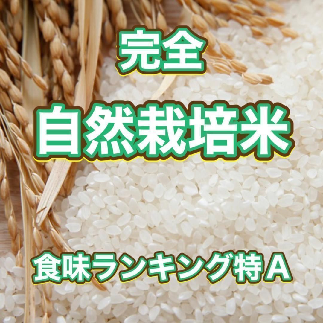 トマト300gのセット