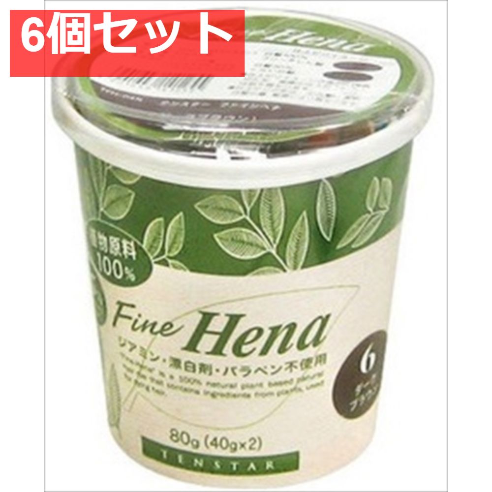 TFH-04N テンスターフアインヘナダークブラウン 6個セット まとめ売り