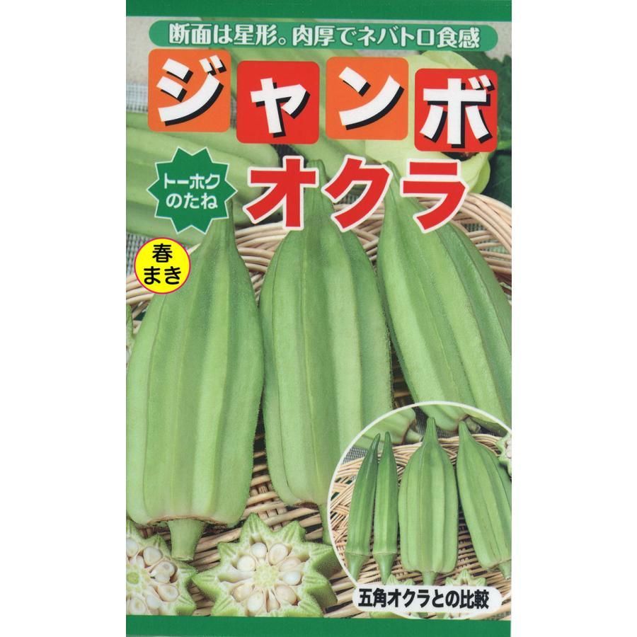 3袋セット】春蒔き 野菜の種 「赤飯ささげ」2袋「ジャンボオクラ」1