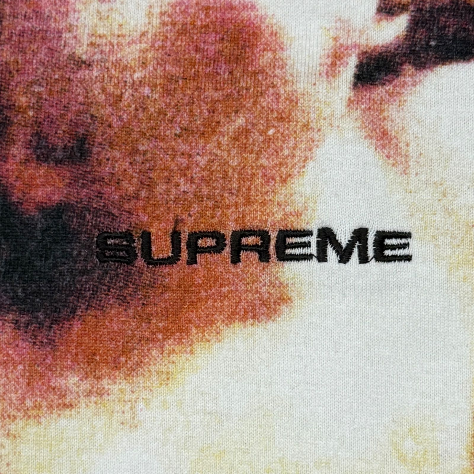 国内正規 Supreme 19SS Putti Tee プッティTシャツ 半袖カットソー