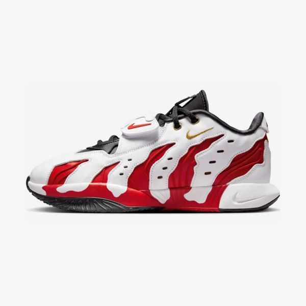 レブロン21 プレミアム96 USA限定 NIKE LEBRON 21 PRIME 96 EP ナイキ レブロン 21 プライム 96