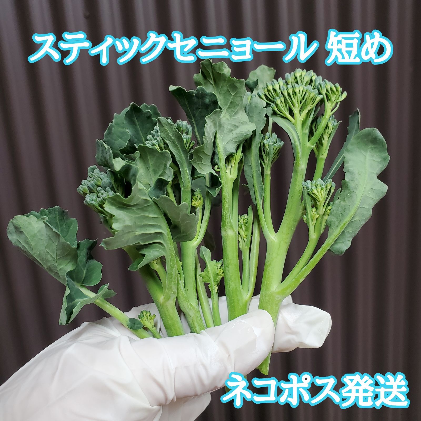 茎ブロッコリー 約600g 新しい - 野菜