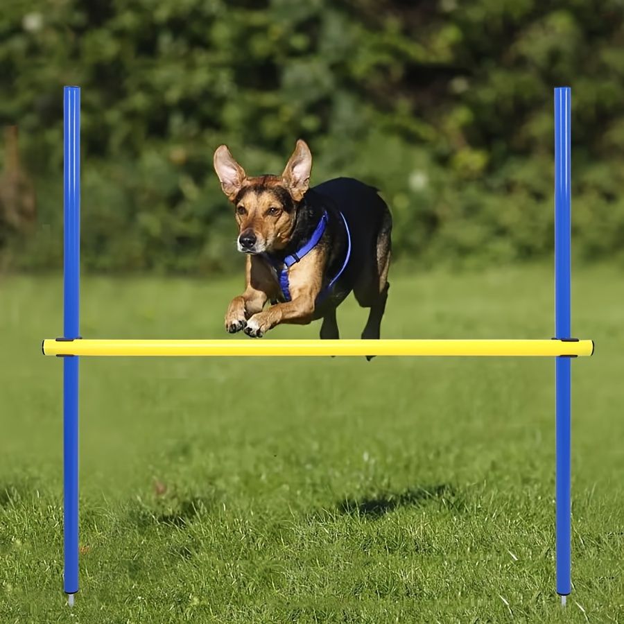 障害物 トンネル-アクティブな犬に最適なギフト