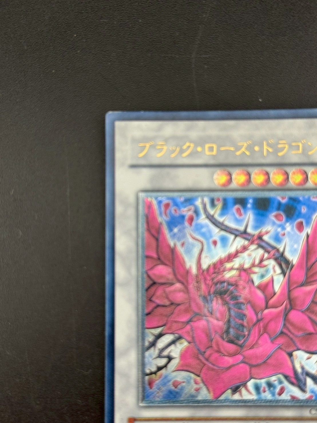 中古品】 ブラック・ローズ・ドラゴン CSOC-JP039 レリーフ