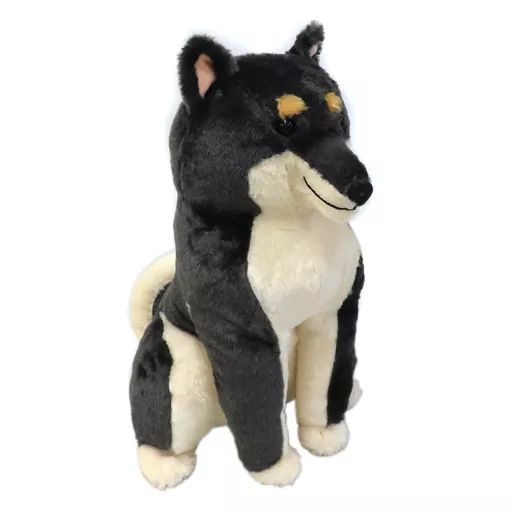中古】ぬいぐるみ 柴黒兄貴 BIGぬいぐるみ 「ほっこり柴犬茶々ノ助