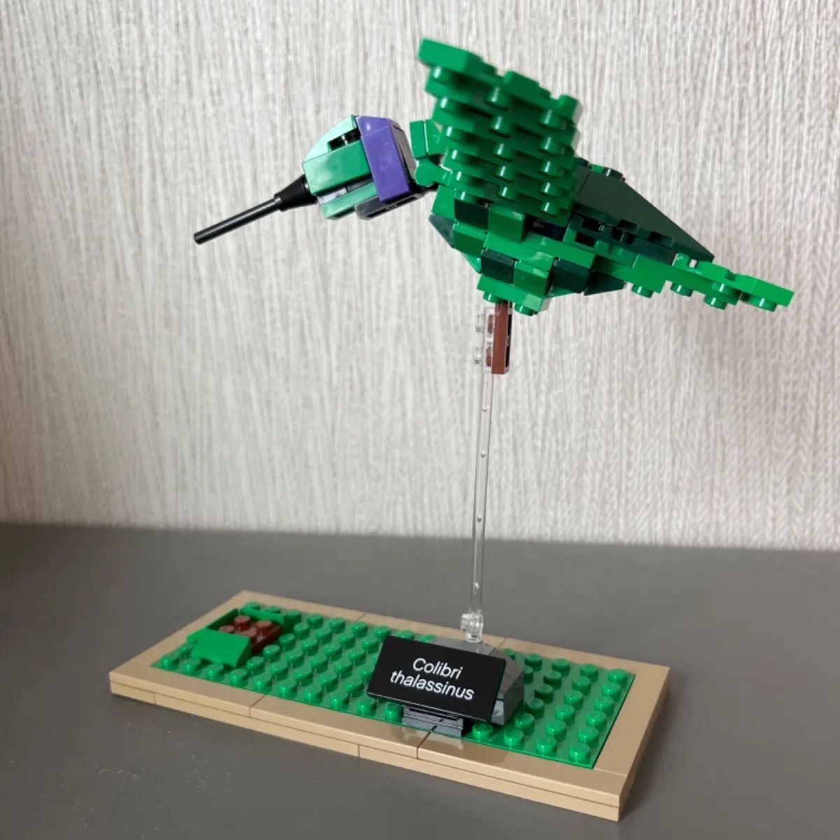 レゴ　レゴ アイデア 21301 世界の鳥　の ハチドリ 1羽