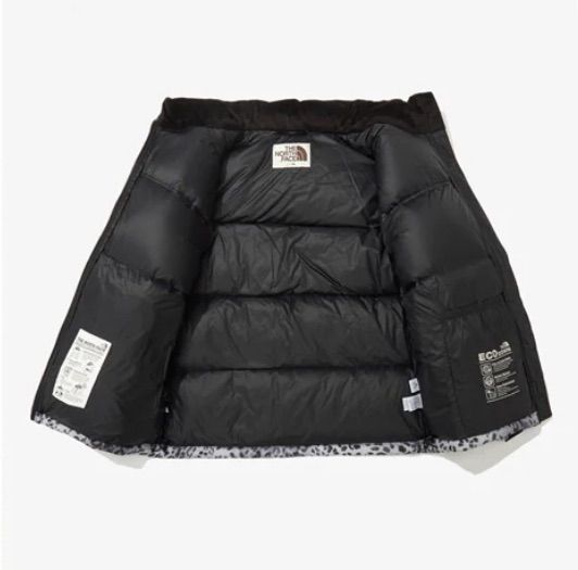 THE NORTH FACE ノベルティ ヌプシ ダウンジャケット シルバー メンズ