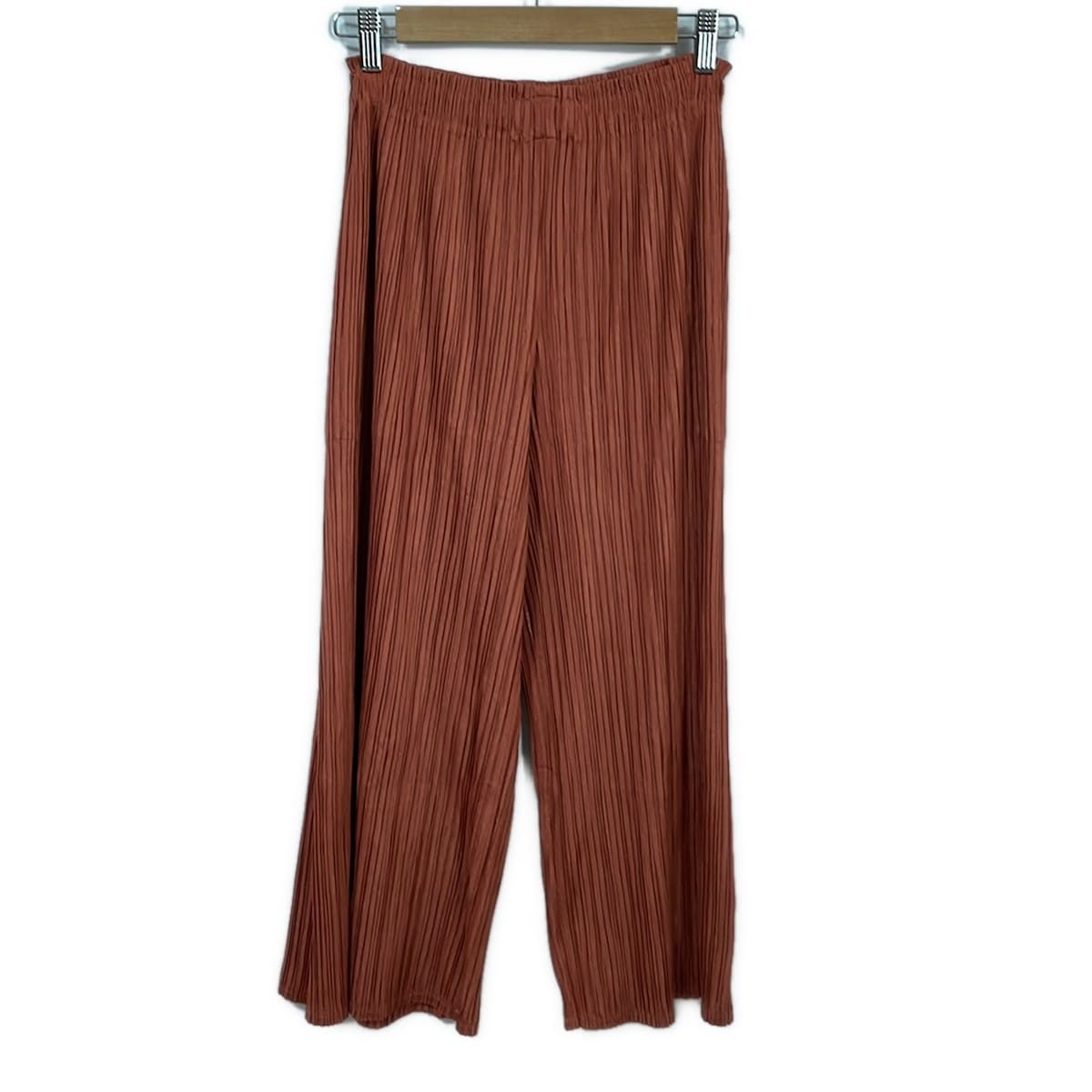 PLEATS PLEASE プリーツプリーズ パンツ サイズ3 ブラウン PLEATS PLEASE(プリーツプリーズ) パンツ サイズ3 L レディース