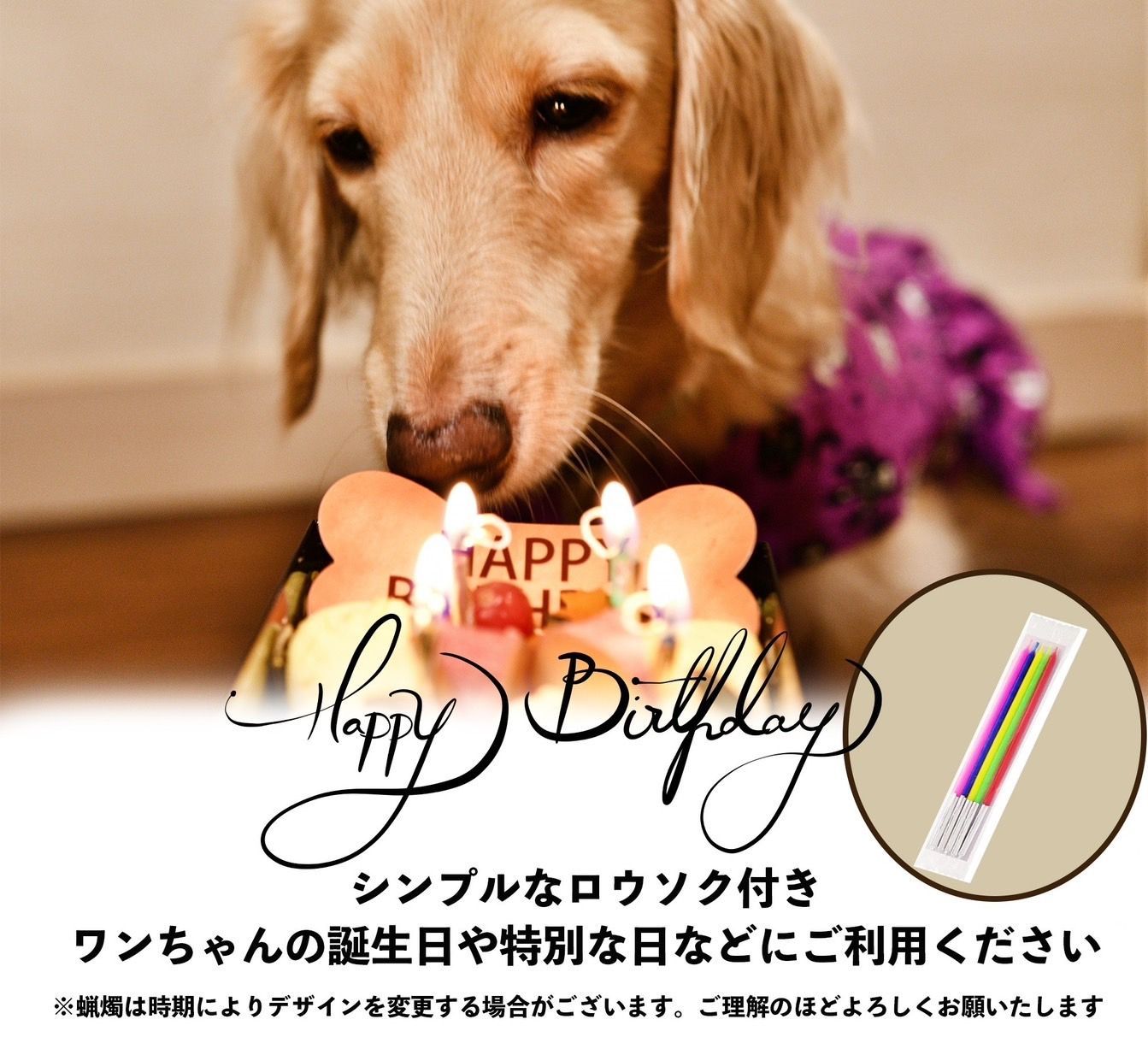 犬用ケーキ ハート型 手作り【バースデービスケット付き】アニバーサリー誕生日 犬 ケーキ 誕生日ケーキ クリスマス