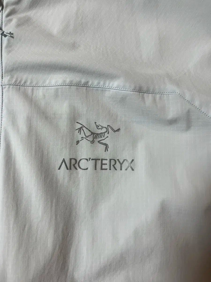 ARC TERYX アークテリクス スコーミッシュ 夜明け パーカー以外 L サイズ