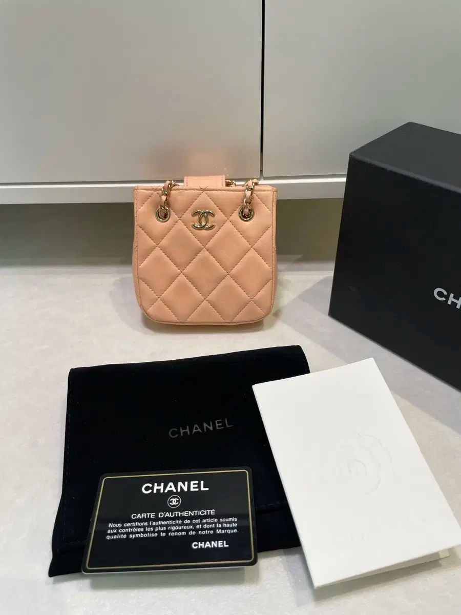 Chanel シャネル ダブルチェーン ミニバッグ