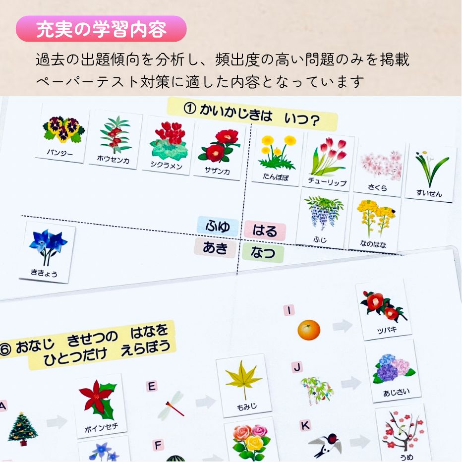 知育玩具　小学受験　　理英会　勉強カード　パズル　幼児教育　記憶カード　つみき 知育玩具 小学受験 理英会 勉強カード パズル 幼児教育 記憶