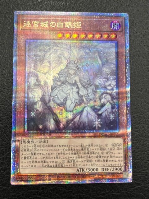 公式 カタログ 迷宮城の白銀姫 絵違い 25thシークレット 【公式通販】