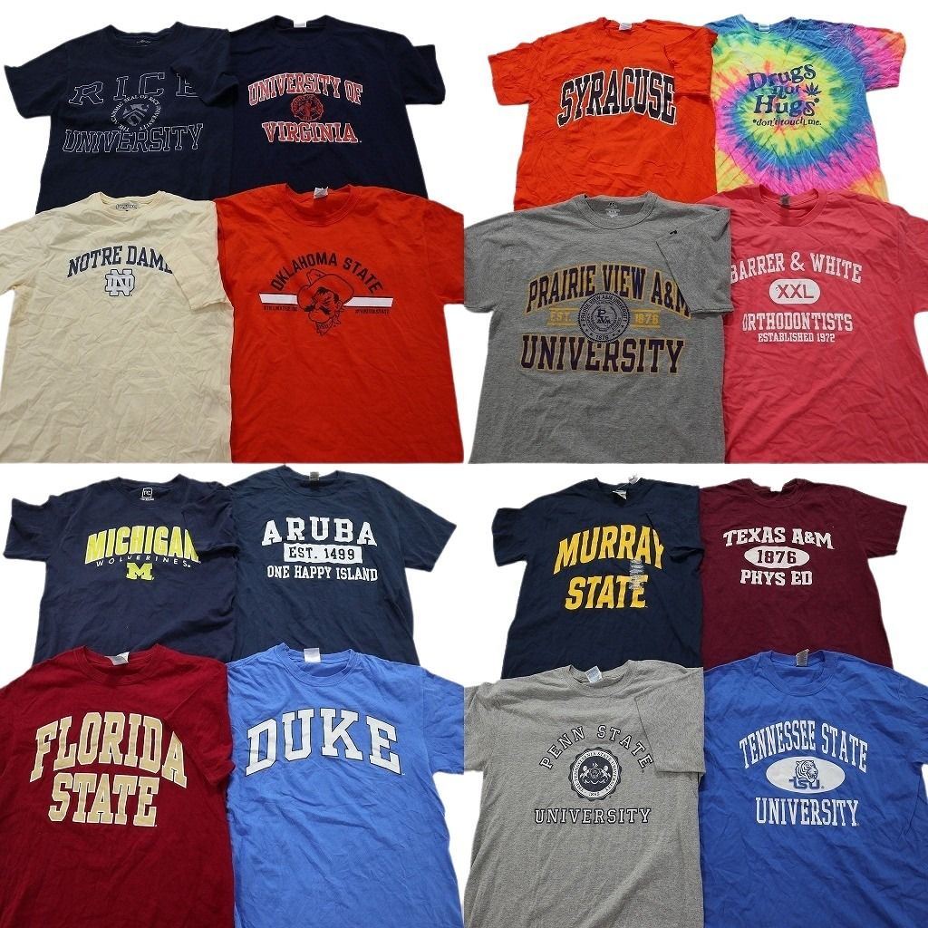 古着卸 カレッジ風 半袖Tシャツ 16枚セット メンズ M デューク大学 ミシガン大学 オクラホマ大学 古着 NA2654