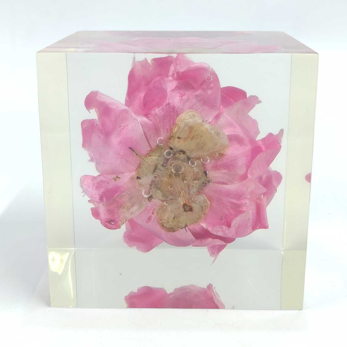 東信 あずままこと ブロックフラワー Block Flowers シャクヤク 芍薬