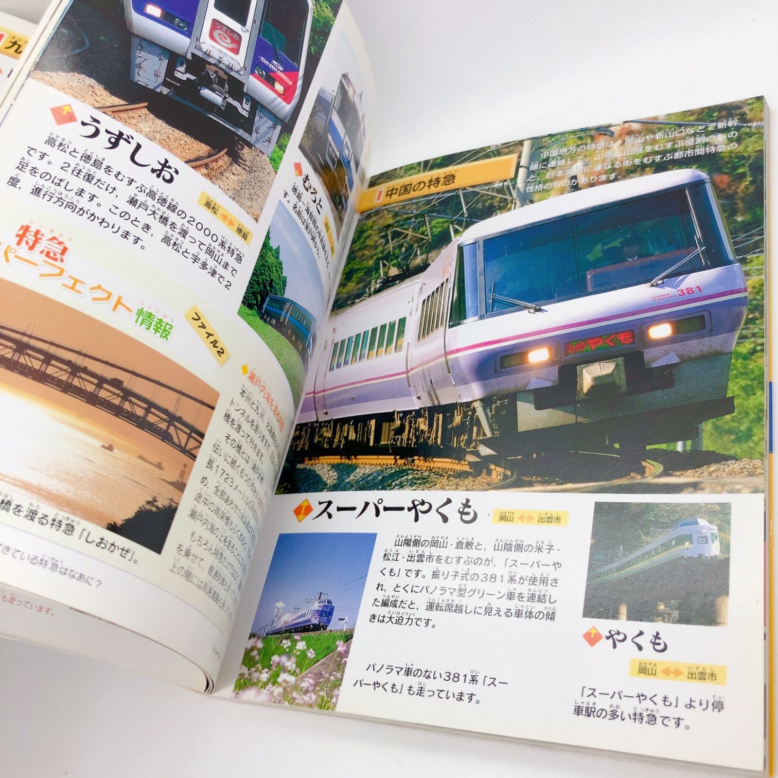 スペシャル版 でんしゃ大ずかん　パーフェクトキッズJR特急　2冊セット　レア！ A134 レア パーフェクトキッズ JR特急 - メルカリ