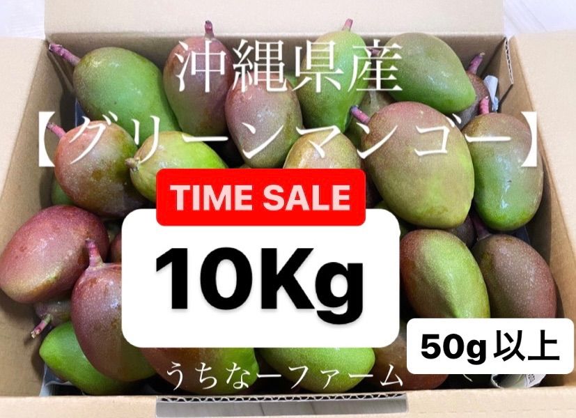 摘果マンゴー　加工用　10キロ 沖縄産摘果マンゴー約5キロ┃未熟果マンゴー┃グリーンマンゴー